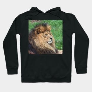 Lion 001 Hoodie